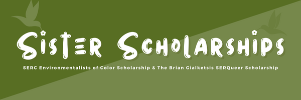 Dark and light green banner with "Sister Scholarships" in the title